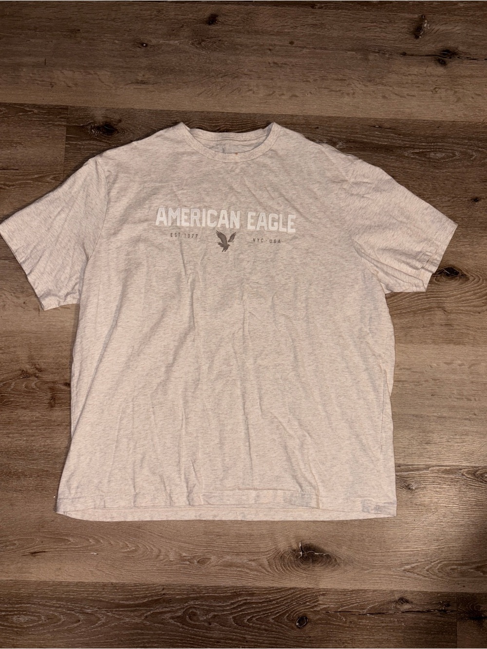 American Eagle Outfitters Light Gray Graphic Logo Tee